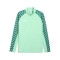 teamLIGA26 Training 1/4 Zip Top - green