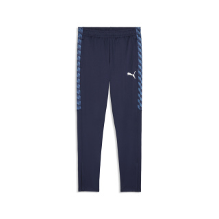 teamLIGA26 Training Pants - blue