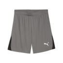 teamLIGA26 Shorts - gray
