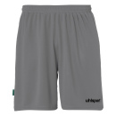 Center Basic Shorts FTP - steingrau