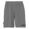 Center Basic Shorts FTP - steingrau