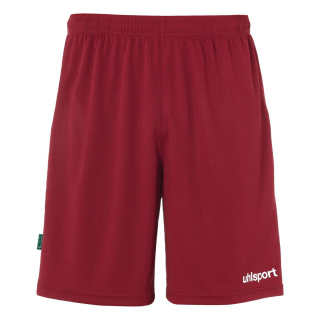 Center Basic Shorts FTP - bordeaux
