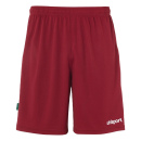 Center Basic Shorts FTP - bordeaux