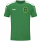 PBC Ilmmünster T-Shirt grün