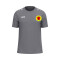 Einheit Meißen e.V. T-Shirt One Cotton grau