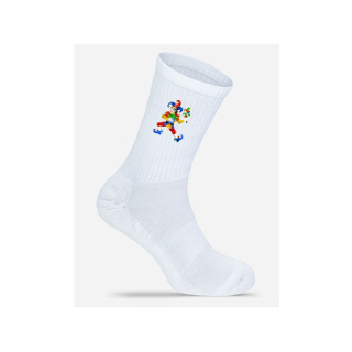 Faschingsgesellschaft Fidelia 1892 e.V. Socken